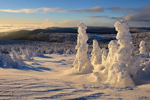View from the Brocken on forests in winter