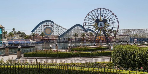 Ferris Wheel Mickey's Fun Wheel and Roller Coaster California Screamin'