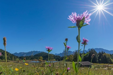 Geroldsee