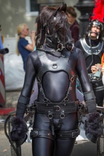 Visitors in medieval armor costumes and horse mask