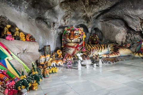Worship of a tiger sculpture in the Tiger Cave