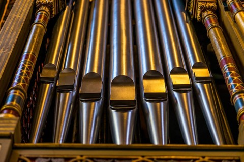 Organ pipes