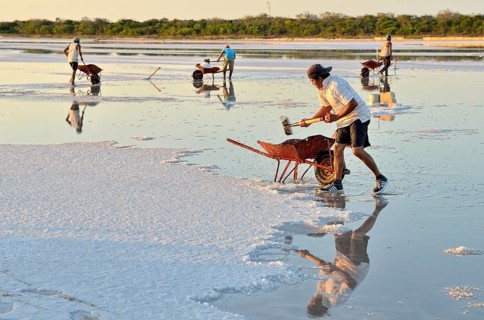 Workers shoveling salt in wheelbarrow