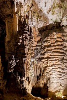 Caves of Postojna