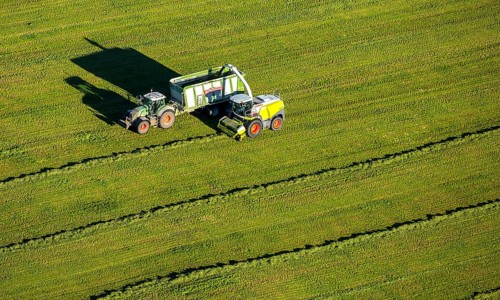 Hay harvest with mower and tractor with trailer