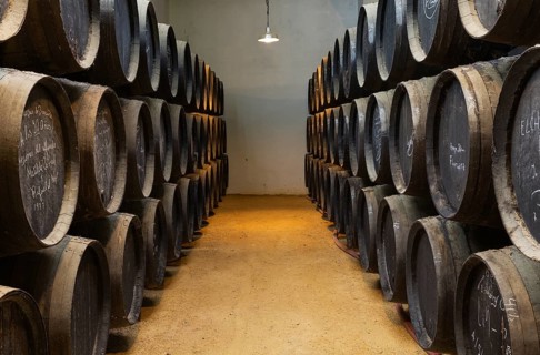 Stacked oak barrels in wine cellar