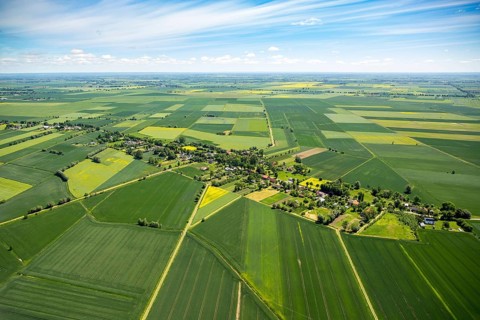 Fields