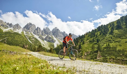 Mountain Biker rides a forest road