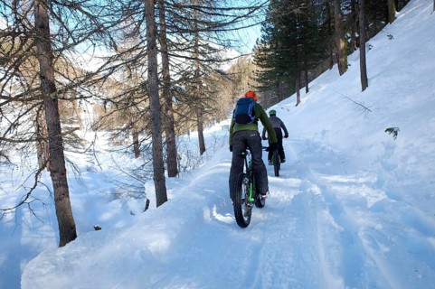 Mountainbiker with Fat Bike on snowy forest road
