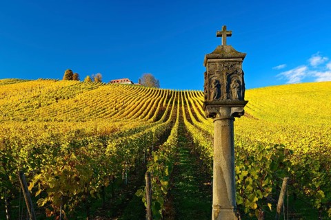 Shrine in vineyards in autumn