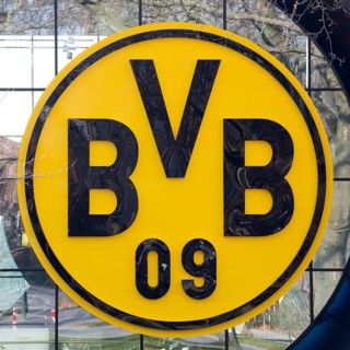 BVB Logo