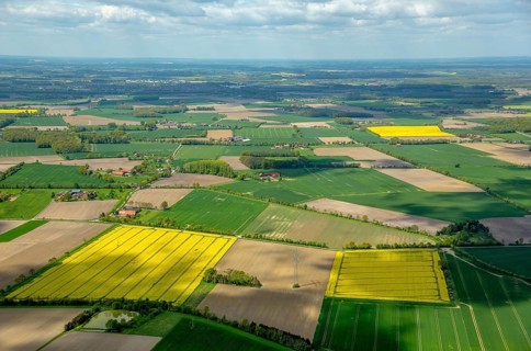 Farming fields and rape fields