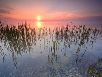 Sunrise at the Muritz