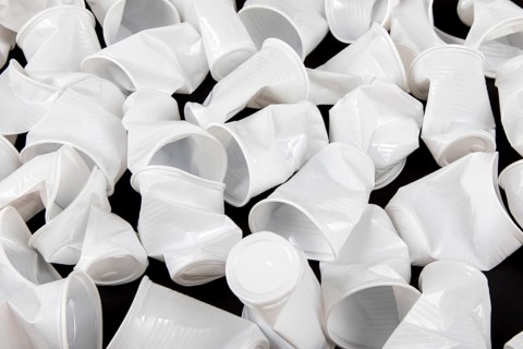 Disposable cup