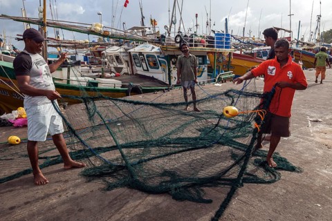 Local men untangling fishing nets in harbour
