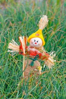 Garden decoration
