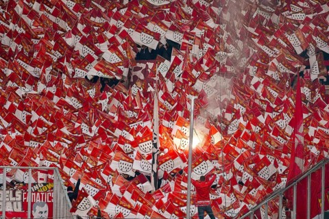 Cologne fans with flags
