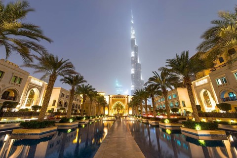 Palm trees and fountains
