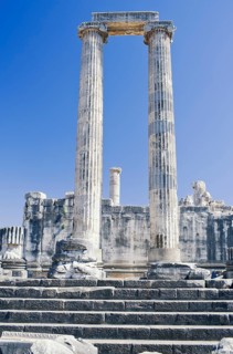 Columns of the Temple of Apollo