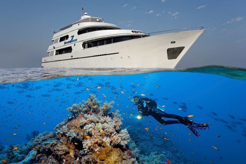 Above: liveaboard