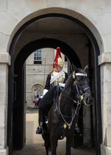 Rider of the Horse Guards