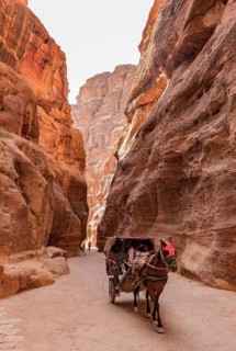 Horse-drawn carriage into the Siq Gorge
