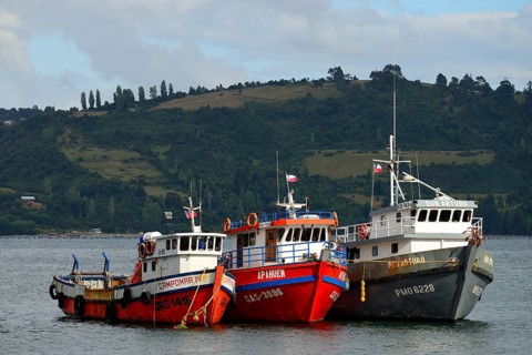 Fishing boats anchoring in the bay