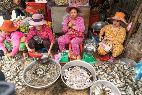 Women at the Fish Market in Kampot
