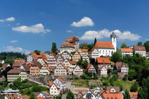 Cityscape with Castle Altensteig