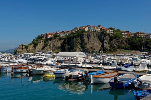 Boats in the harbour