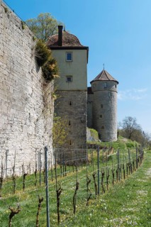 Wall and towers