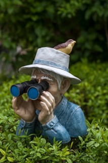 Human figure with bird on hat and binoculars looking over a hedge