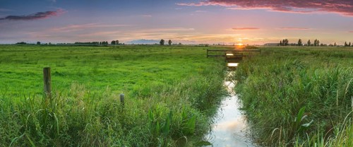 Irrigation ditch