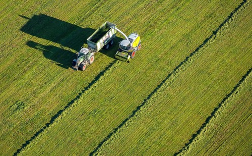 Hay harvest with mower and tractor with trailer