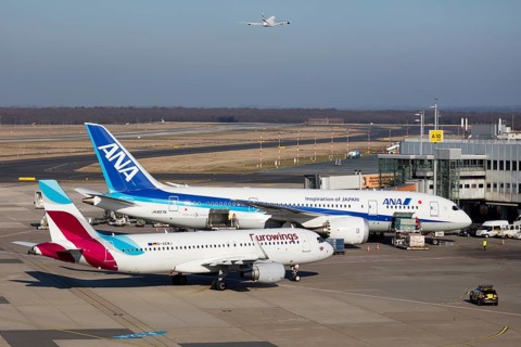 Aircraft ANA All Nippon Airways Boeing 787-8 Dreamliner