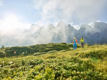 Hikers in mountains