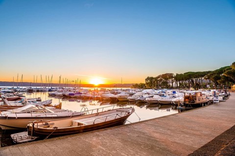 Boats in the harbor