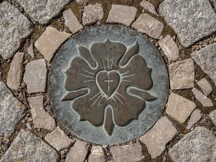 Luther Rose