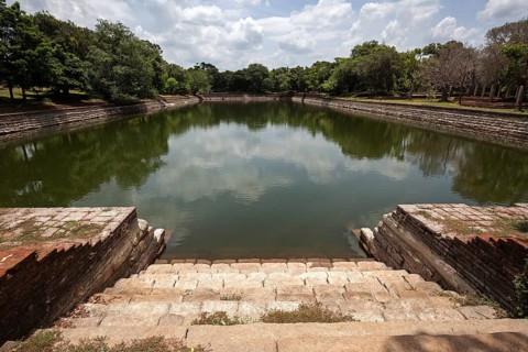 Pond
