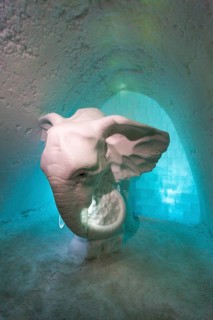 Elephant made of ice