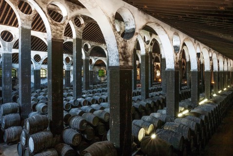 Stacked oak barrels in the wine cellar La Catedral