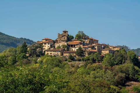 Ternand