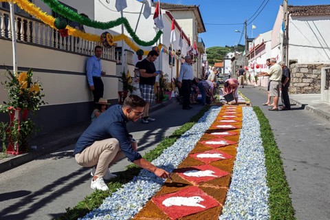 Flower carpet