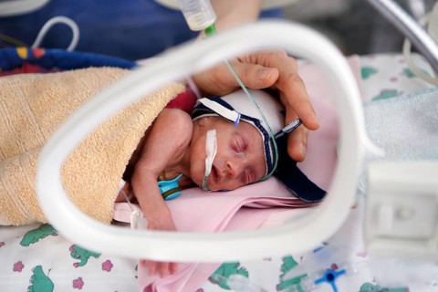 Incubator with newborn baby