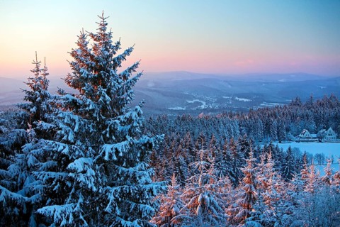 Winter landscape