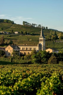 Chenas village