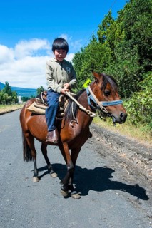 Young boy riding on a horse