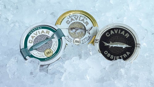 Three cans of caviar on ice