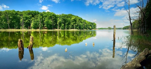 Schweingartensee