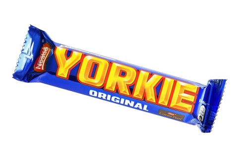 Yorkie bar